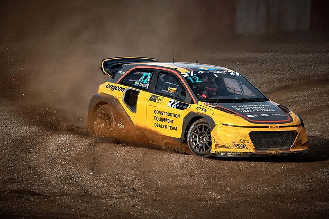 篮球世界的 篮球世界的