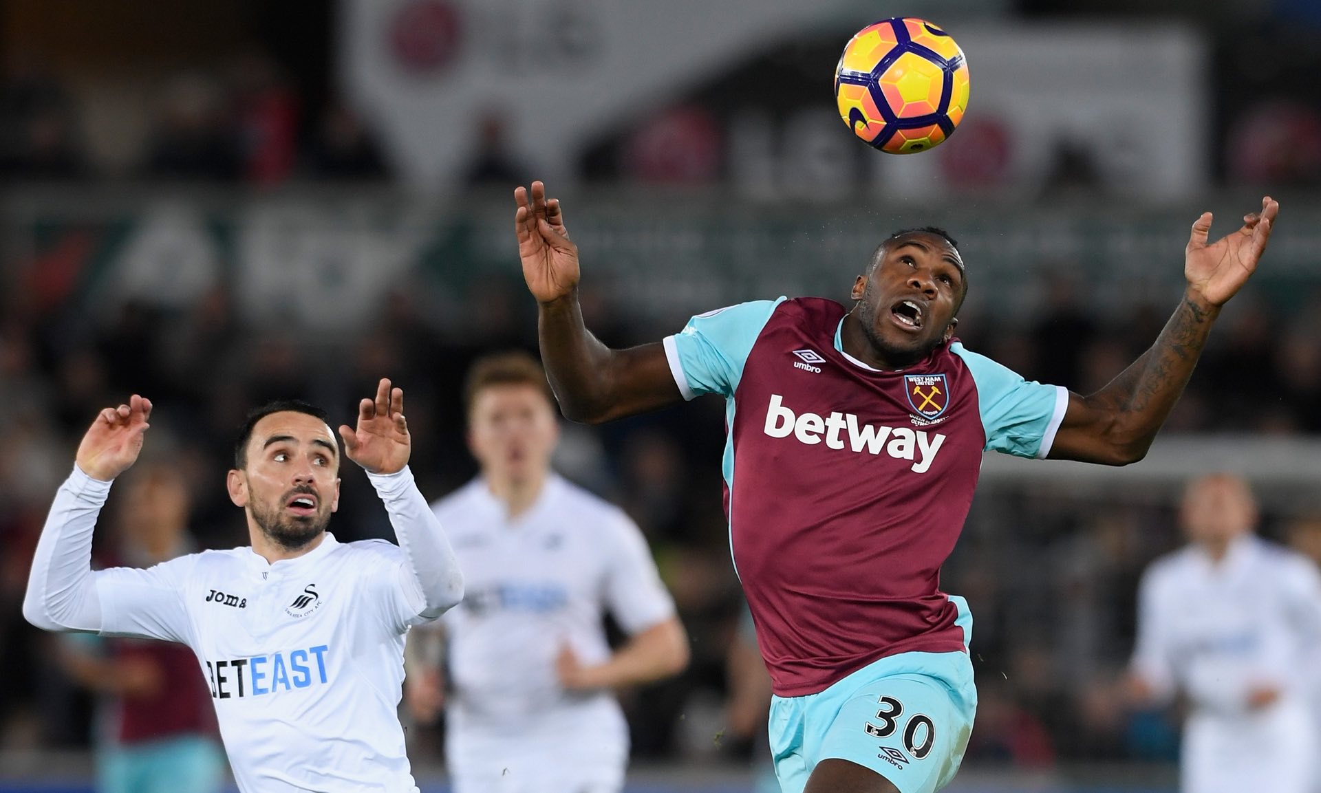 看到更多关 看到更多关