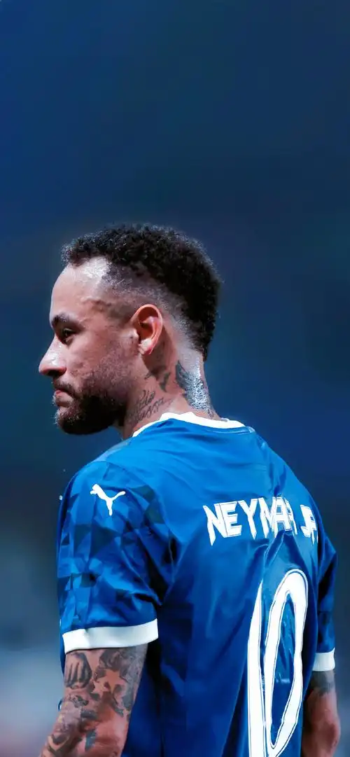 红牛的崭露 红牛的崭露